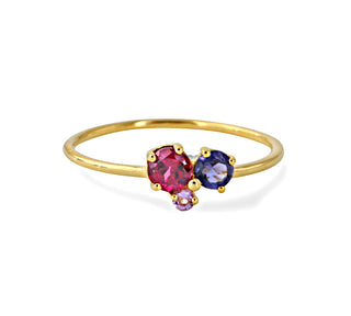 Ring mit Amethyst, Rhodolith und Iolith